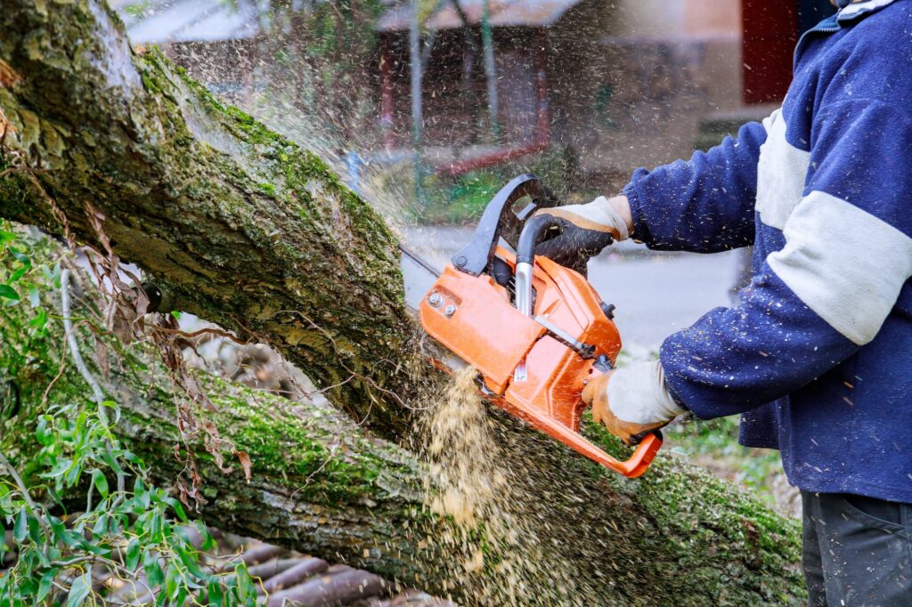 background  - Arbor Junkies
