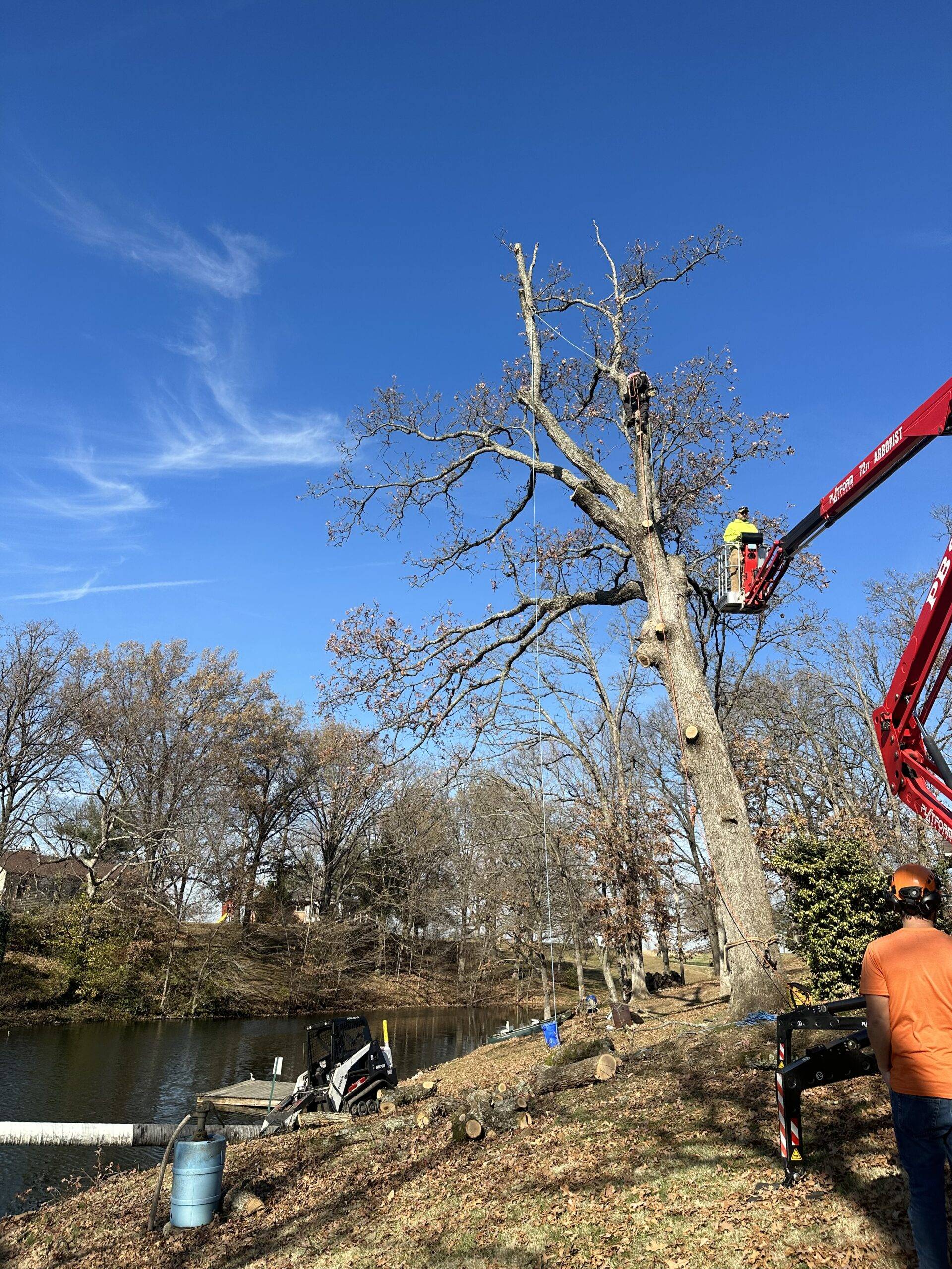 Arbor Junkies Tree Service Expert Tree Care Edwardsville, IL