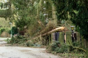 Fallen tree on a residential wooden fence, illustrating the importance of professional storm damage cleanup services provided by Arbor Junkies Tree Service in Edwardsville, Glen Carbon, Staunton, Bethalto, and Highland, IL.