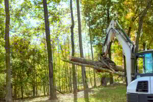 Excavator lifting a fallen tree in a wooded area, highlighting the importance of professional equipment and expertise for safe tree removal by Arbor Junkies in Illinois.
